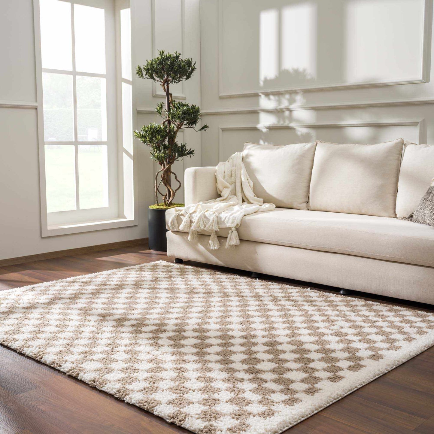 Taupe Shag Rug
