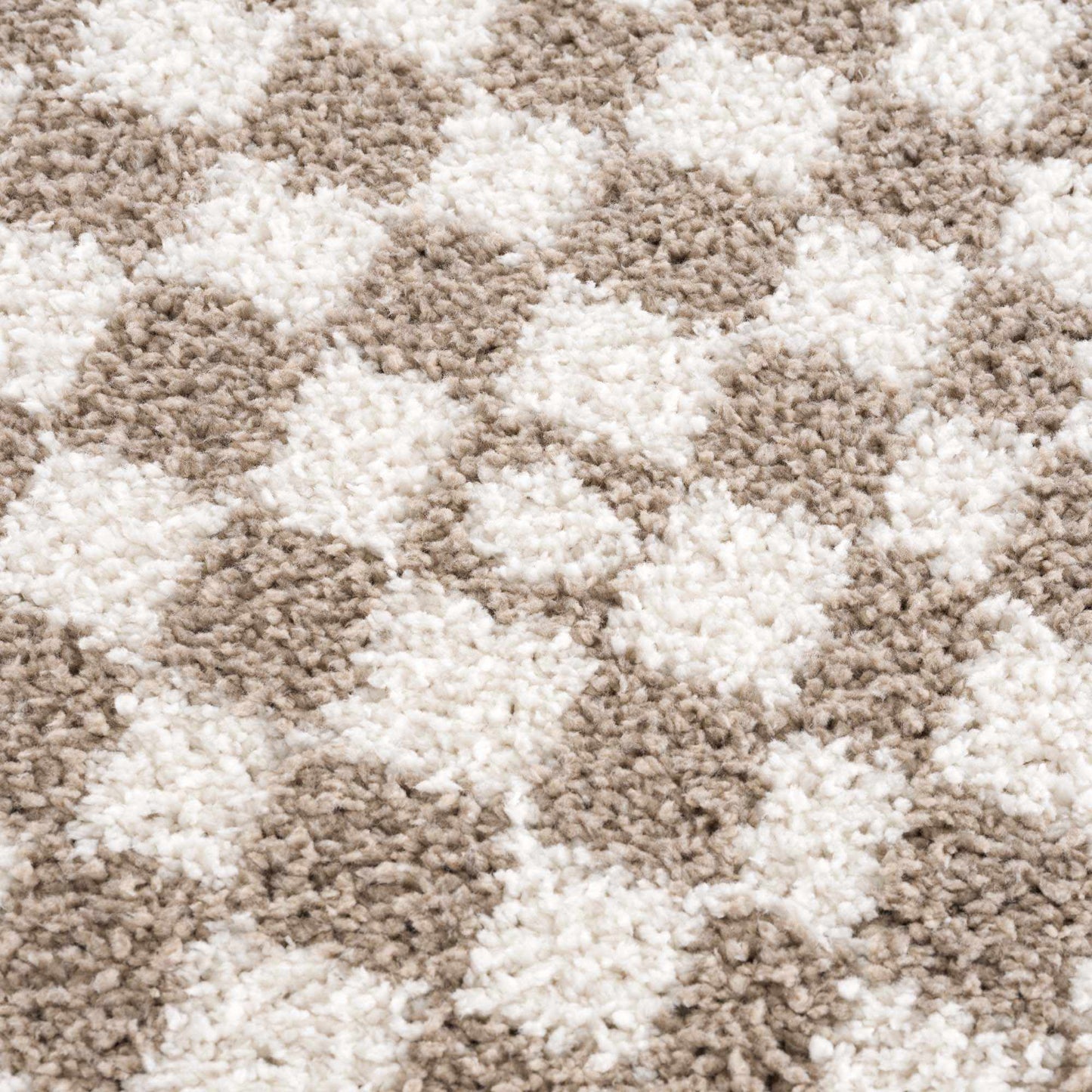 Taupe Shag Rug