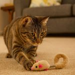 6.75" Plush Mouse Cat Toy Assorted Colors
