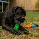 Tool-Shape Rubber Dog Squeaky Pet Toy Assortment