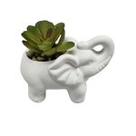 3.85 x2.75 in Decorative Elephant Planter with Faux Plant and Pebbles