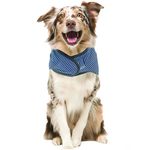 Medium Two Strap Cozy Reversible Dog Coat Jacket in Assorted Styles