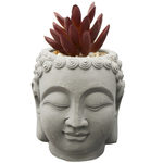 https://cdn.koleimports.com/images/1x1/large/g/a/GA099.jpg