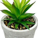 Faux Plant Assortment with Pebbles and Bumble Bee Cement Planter