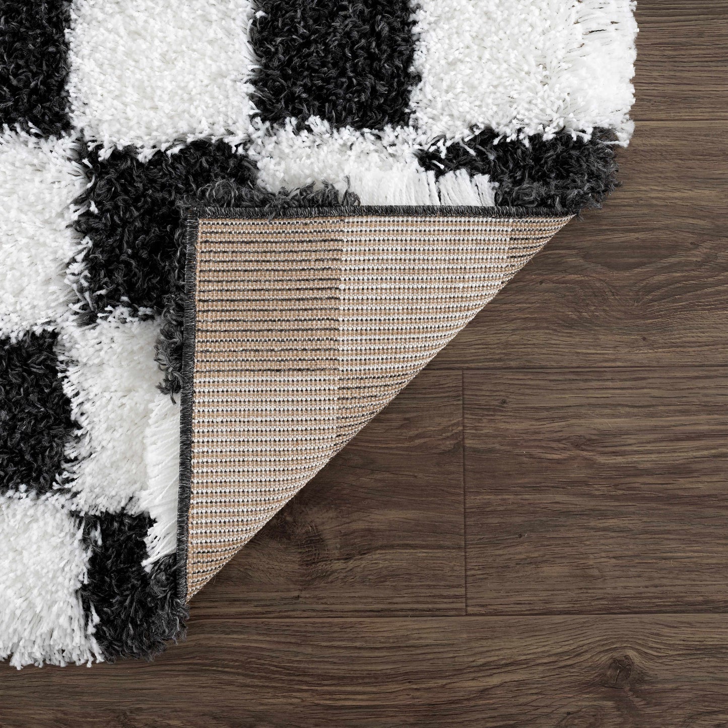 Atira Checkered Monochrome Area Rug