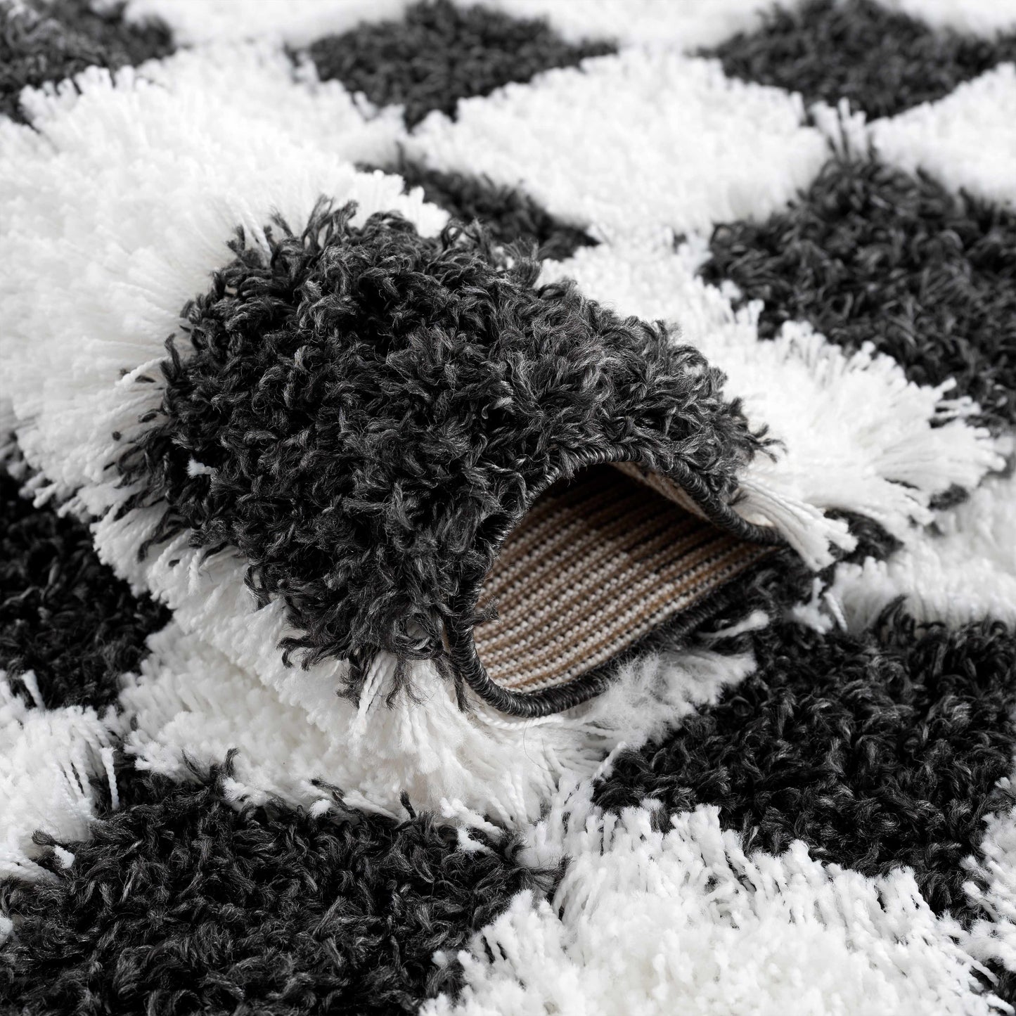 Atira Checkered Monochrome Area Rug