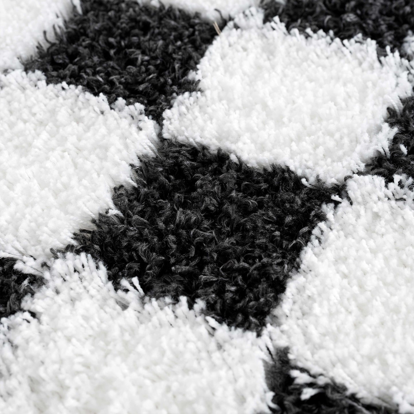 Atira Checkered Monochrome Area Rug