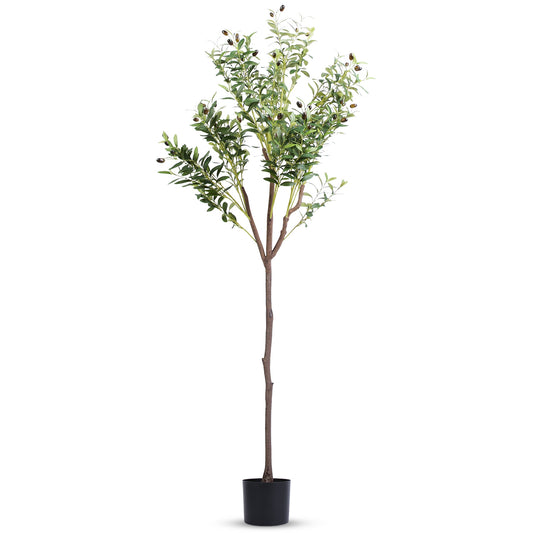 https://image.kangxinrunda.com/GPCT_ProductImages/2024-06/4ccfe30a-5d7b-42c6-a28e-539c0b33816c.jpg