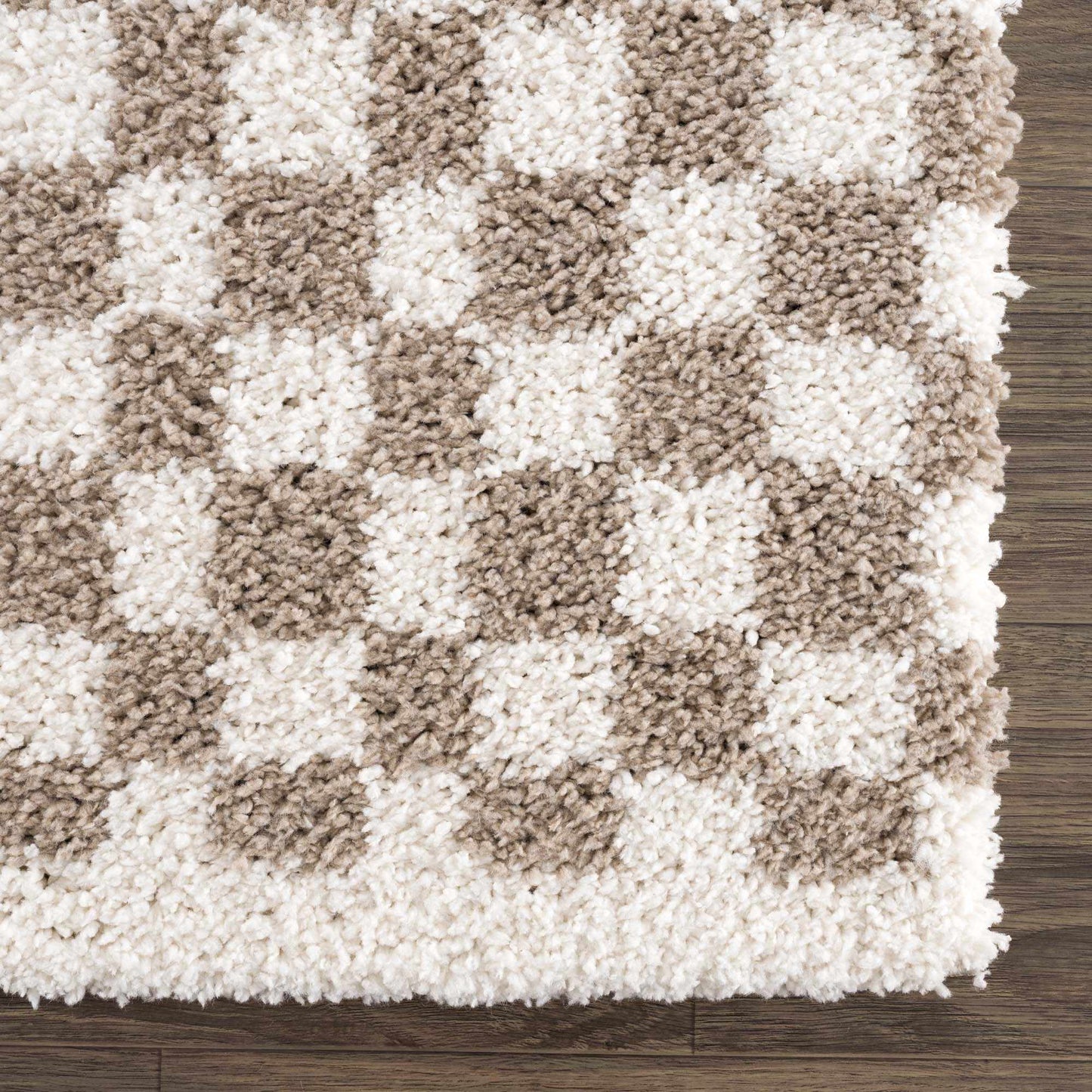 Taupe Shag Rug