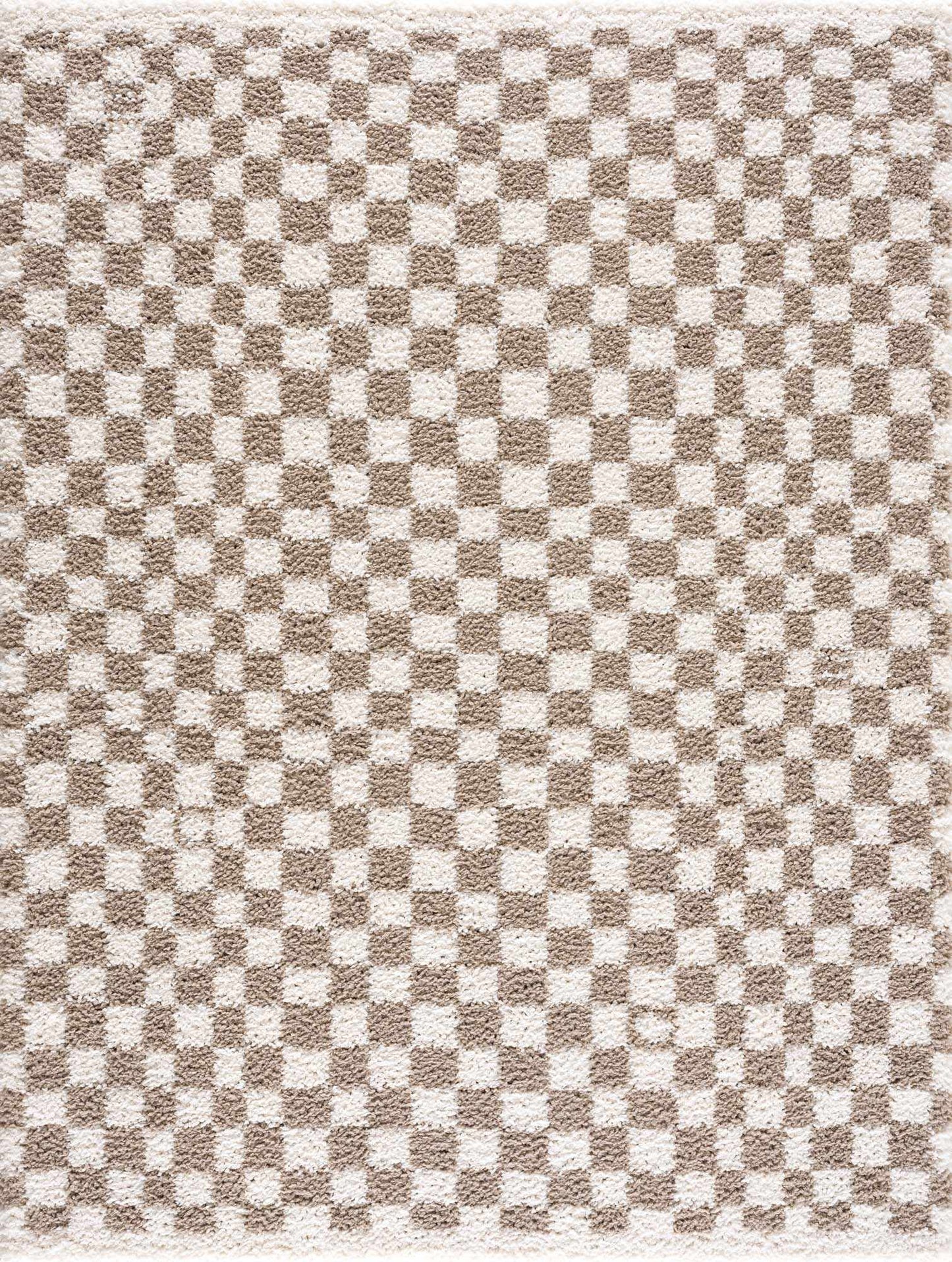 Taupe Shag Rug
