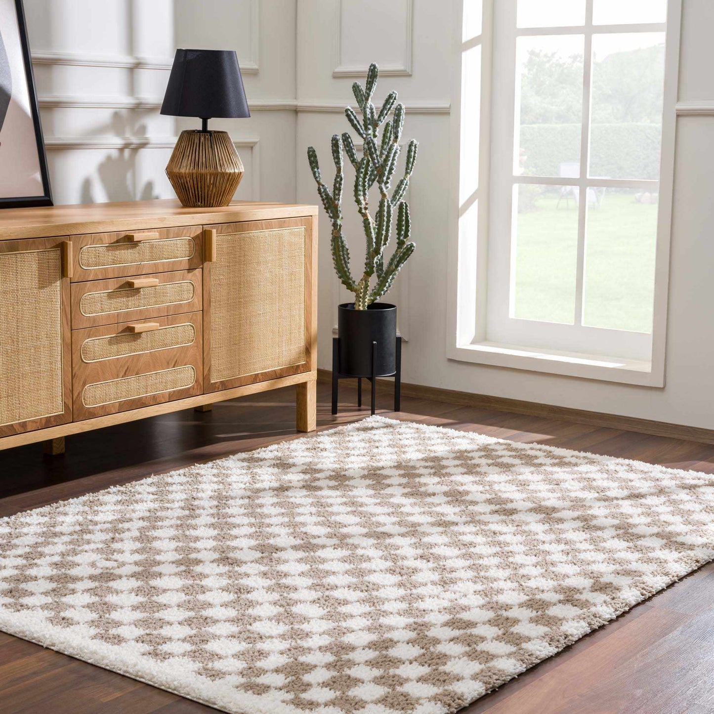 Taupe Shag Rug