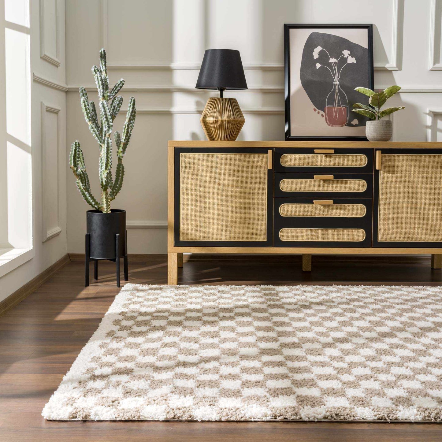 Taupe Shag Rug