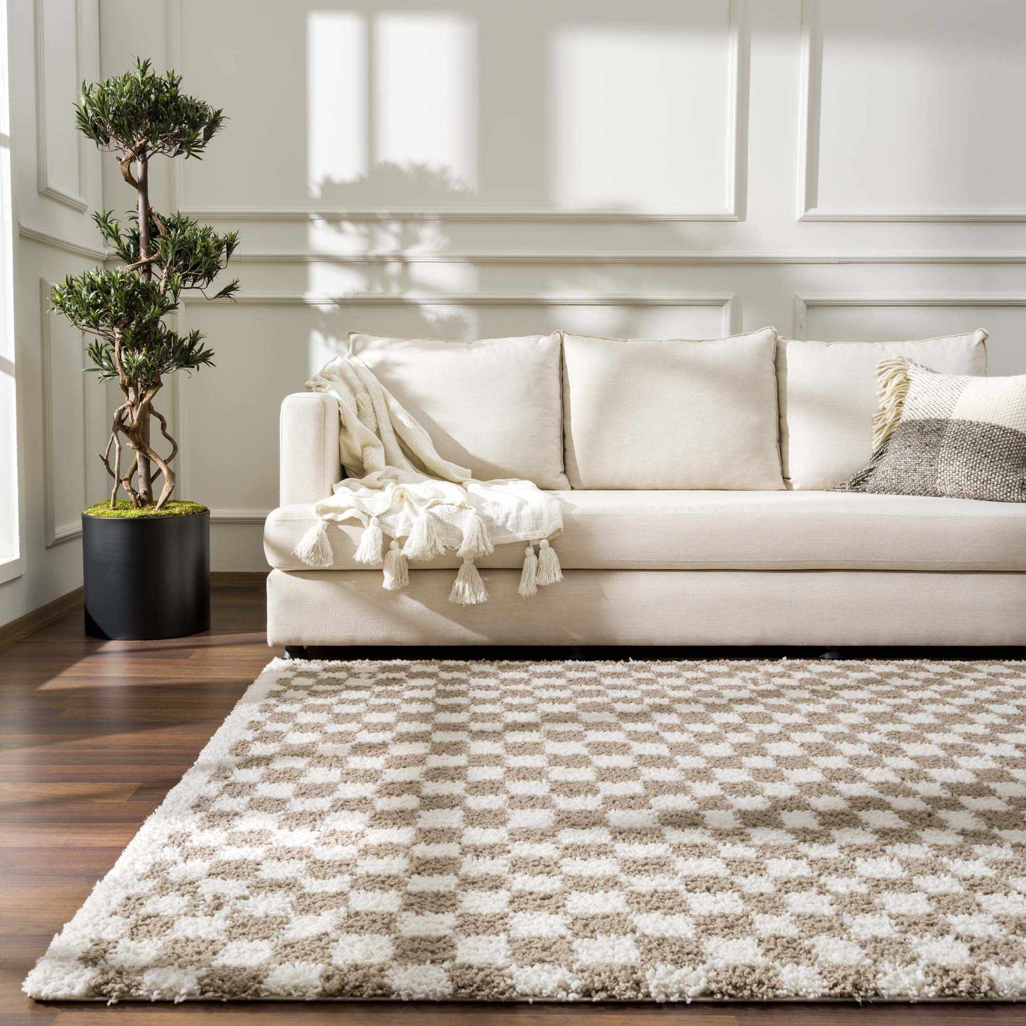 Taupe Shag Rug
