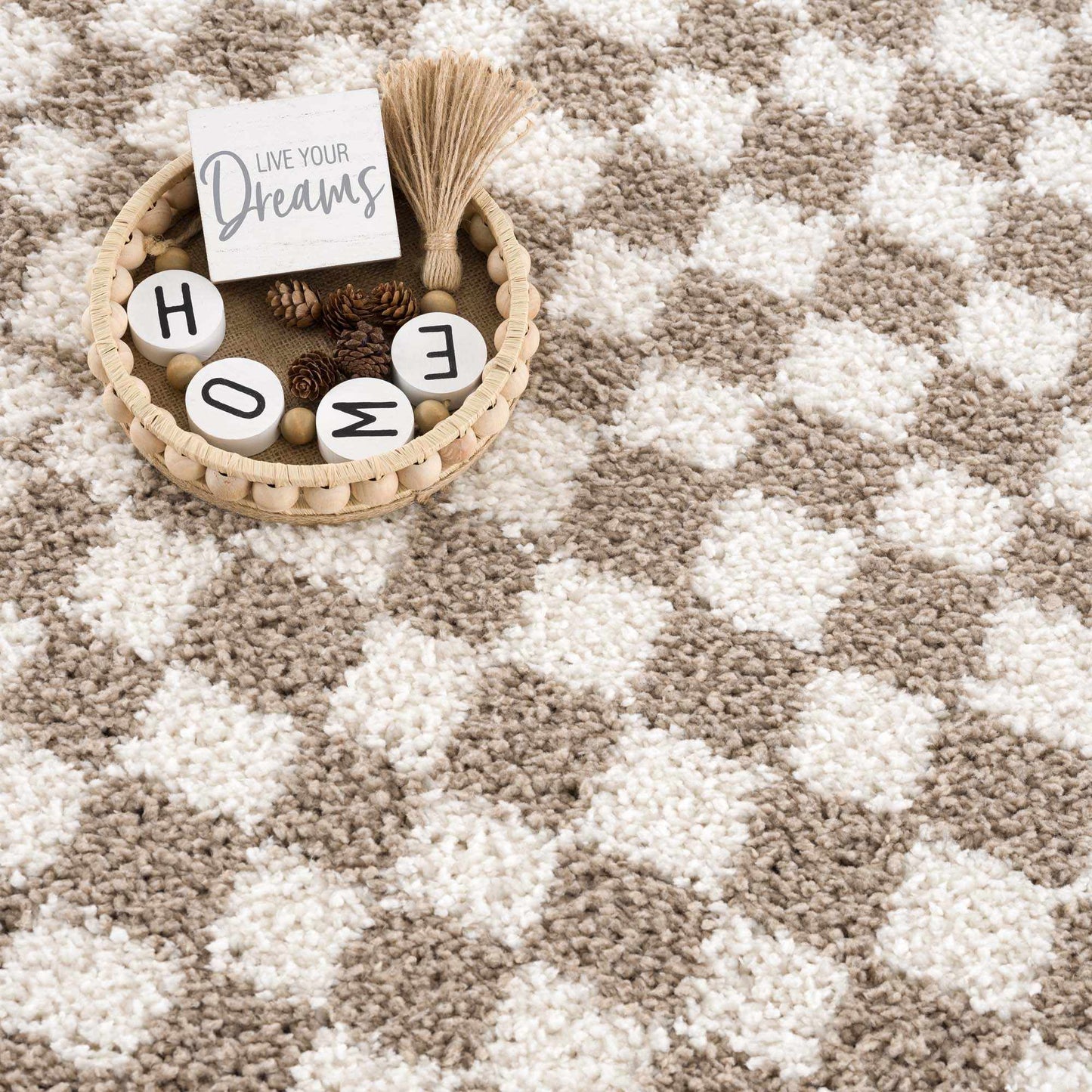 Taupe Shag Rug