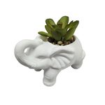 https://cdn.koleimports.com/images/1x1/large/c/b/CB449.jpg