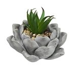 https://cdn.koleimports.com/images/1x1/large/c/b/CB511.jpg