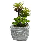 https://cdn.koleimports.com/images/1x1/large/c/b/CB513.jpg