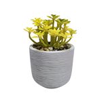 https://cdn.koleimports.com/images/1x1/large/c/b/CB514.jpg