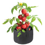 1 Gallon Fabric Gardening Planter Pot.