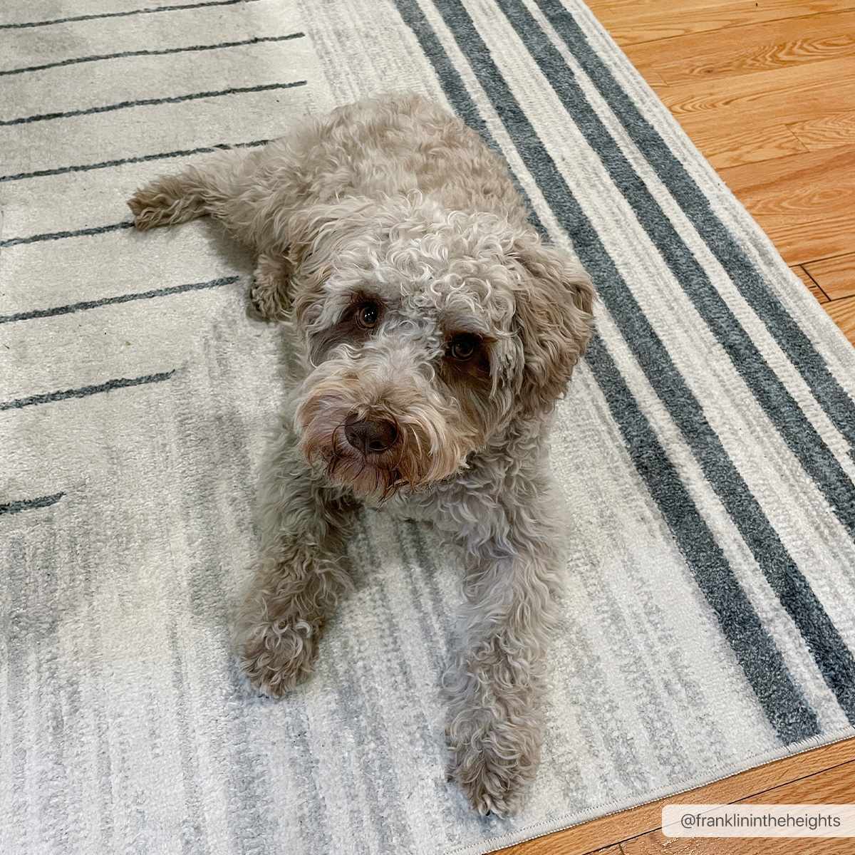 Thad Washable Rug