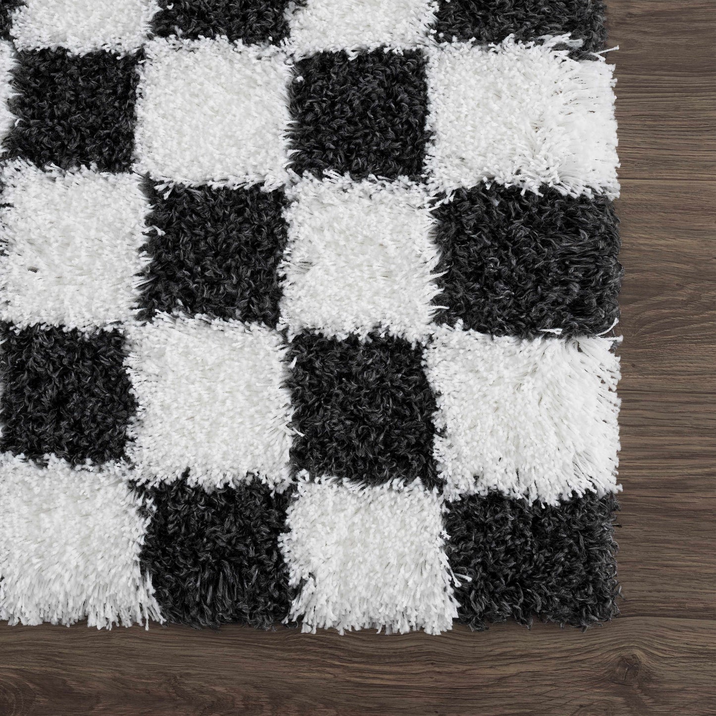 Atira Checkered Monochrome Area Rug