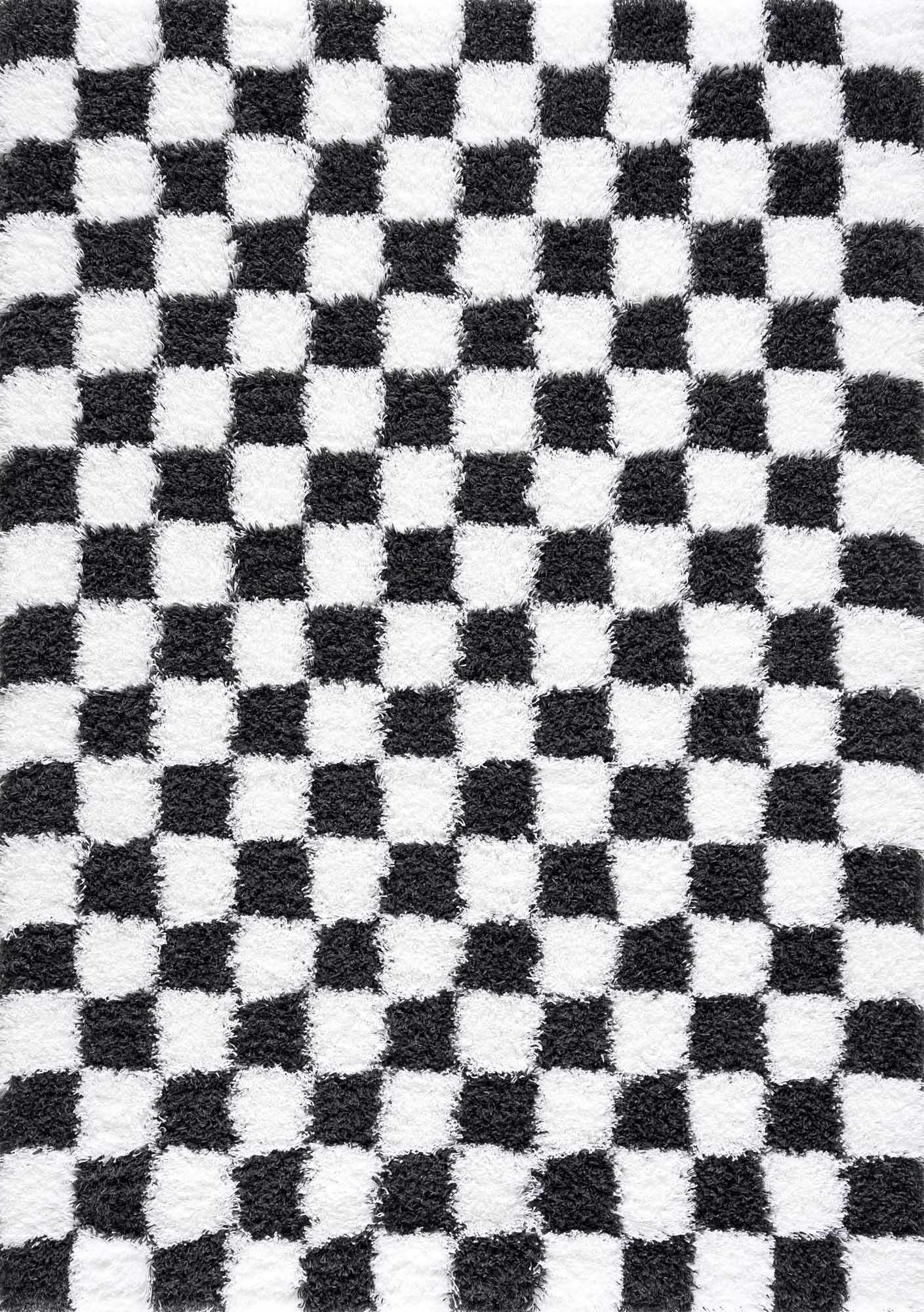 Atira Checkered Monochrome Area Rug