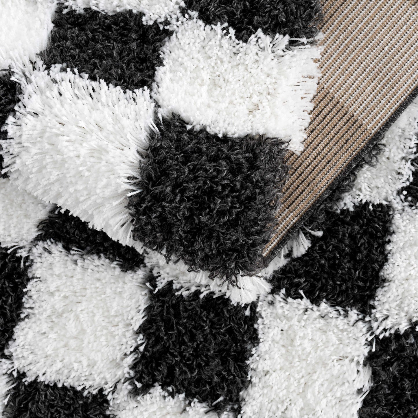 Atira Checkered Monochrome Area Rug