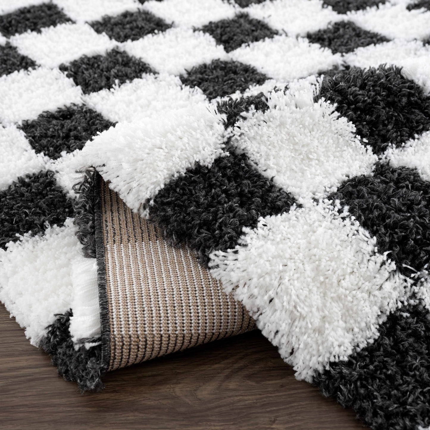 Atira Checkered Monochrome Area Rug
