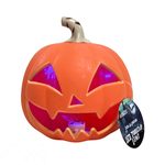 https://cdn.koleimports.com/images/1x1/large/v/r/VR291.jpg